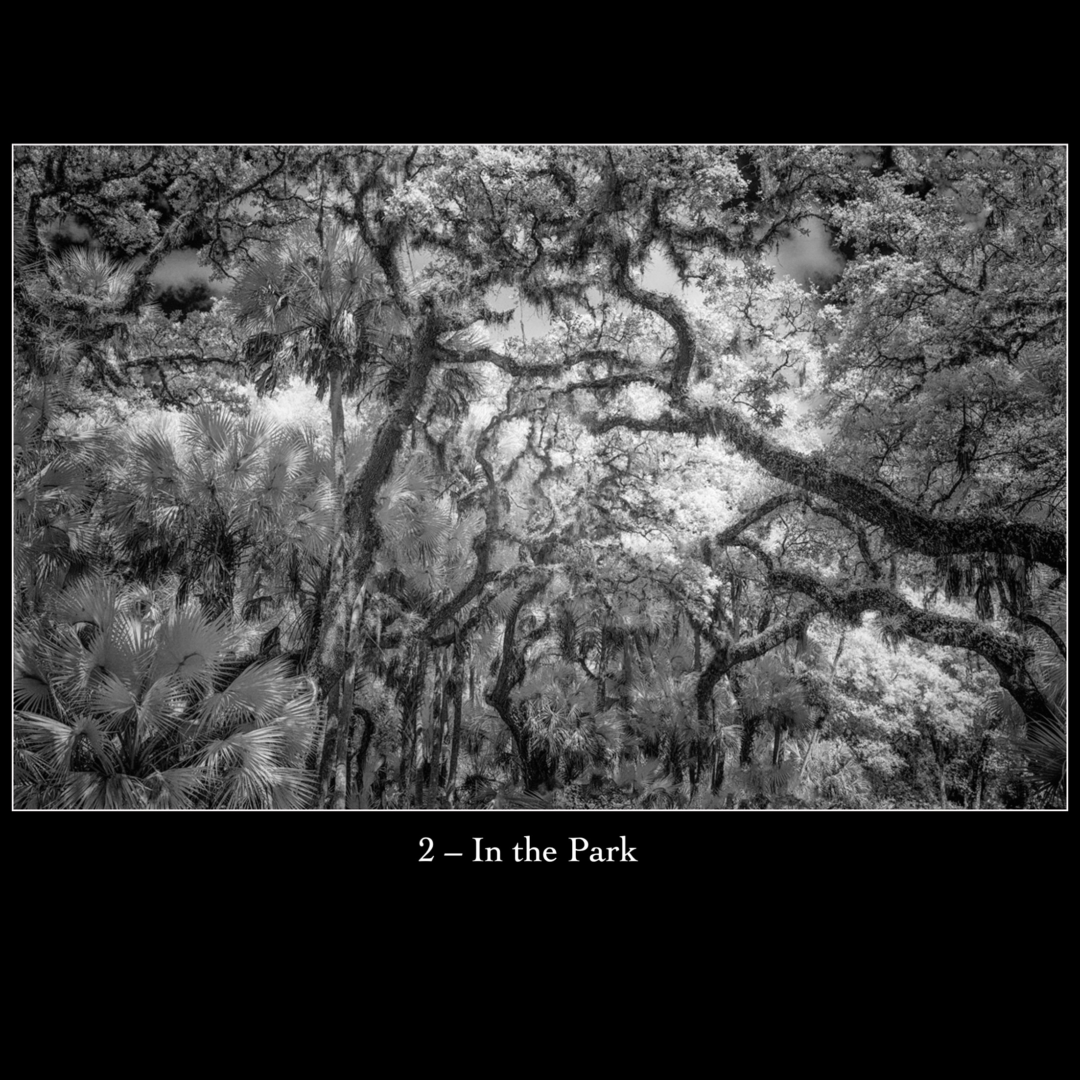 2   In the Park